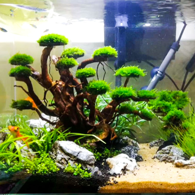 Aquarium Driftwood - Aquarium Landscaping Moss Tree Skeleton Finished