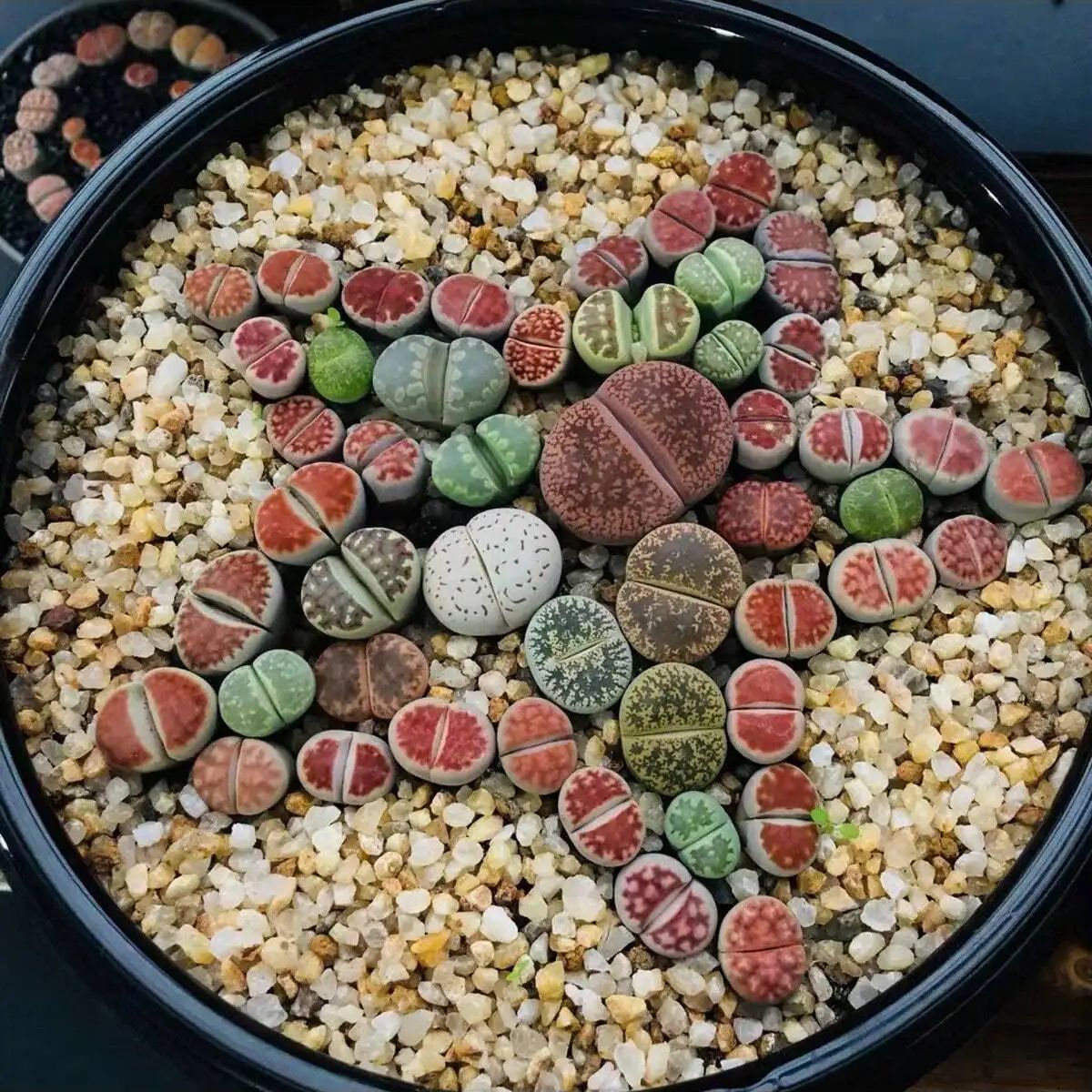 1pc-250g Natural Crystals Grav - Plant Aquarium Pot recension och pris