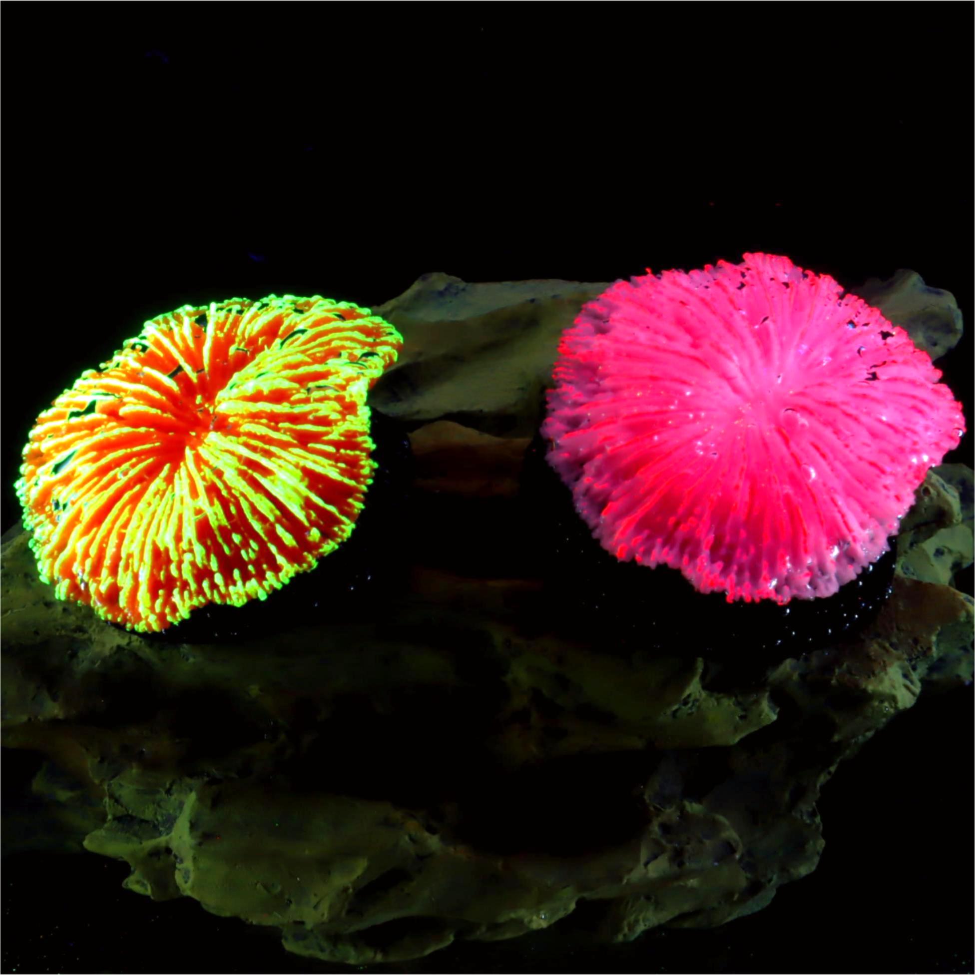 1 Piece Aquarium Decoration Sa - Aquarium Plants Live recension och pris