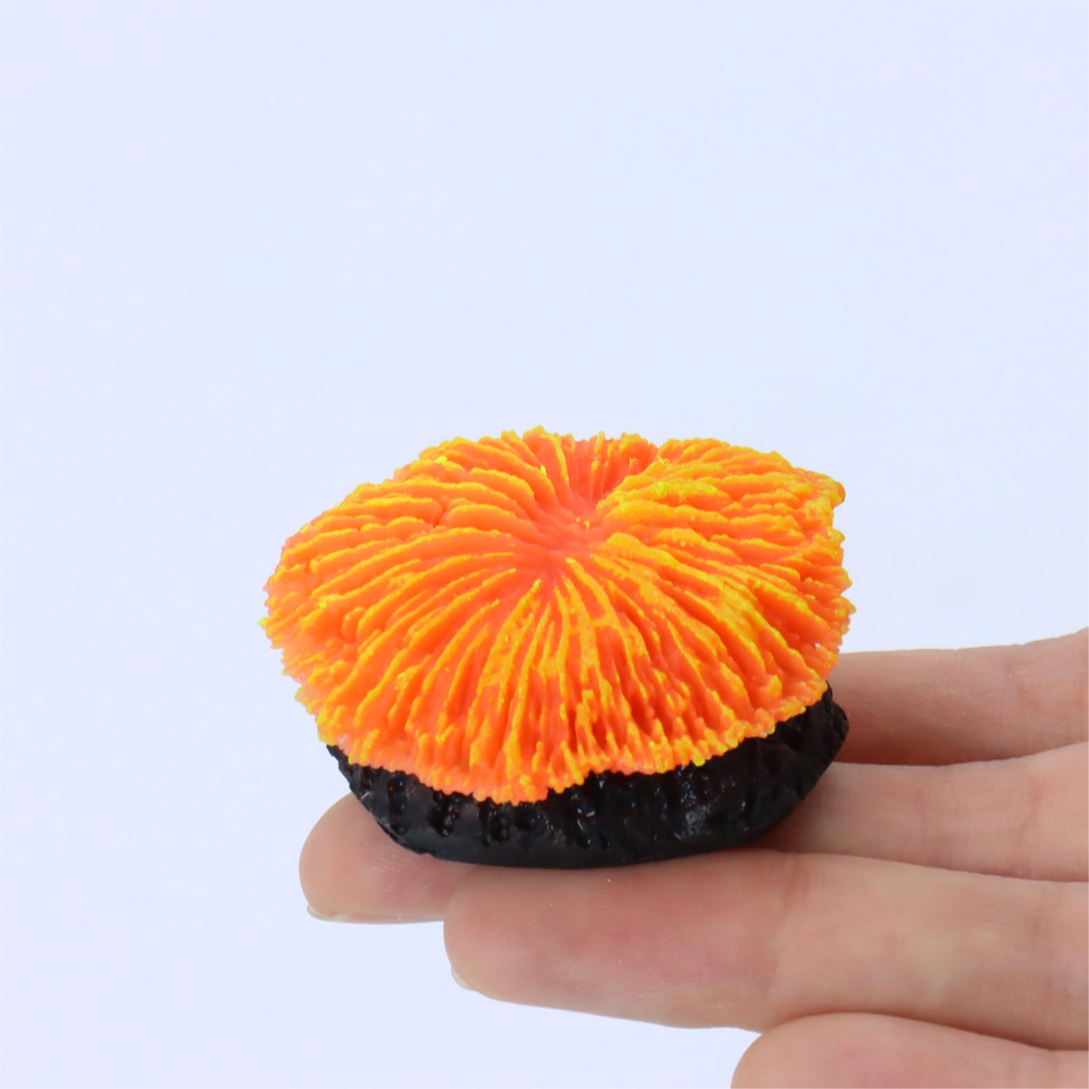 1 Piece Aquarium Decoration Sa - Aquarium Plants Live recension och pris