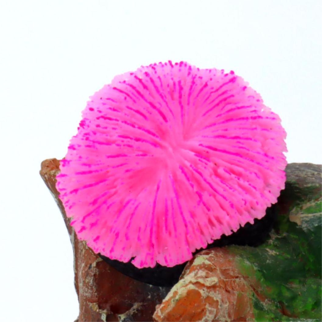 1 Piece Aquarium Decoration Sa - Aquarium Plants Live recension och pris