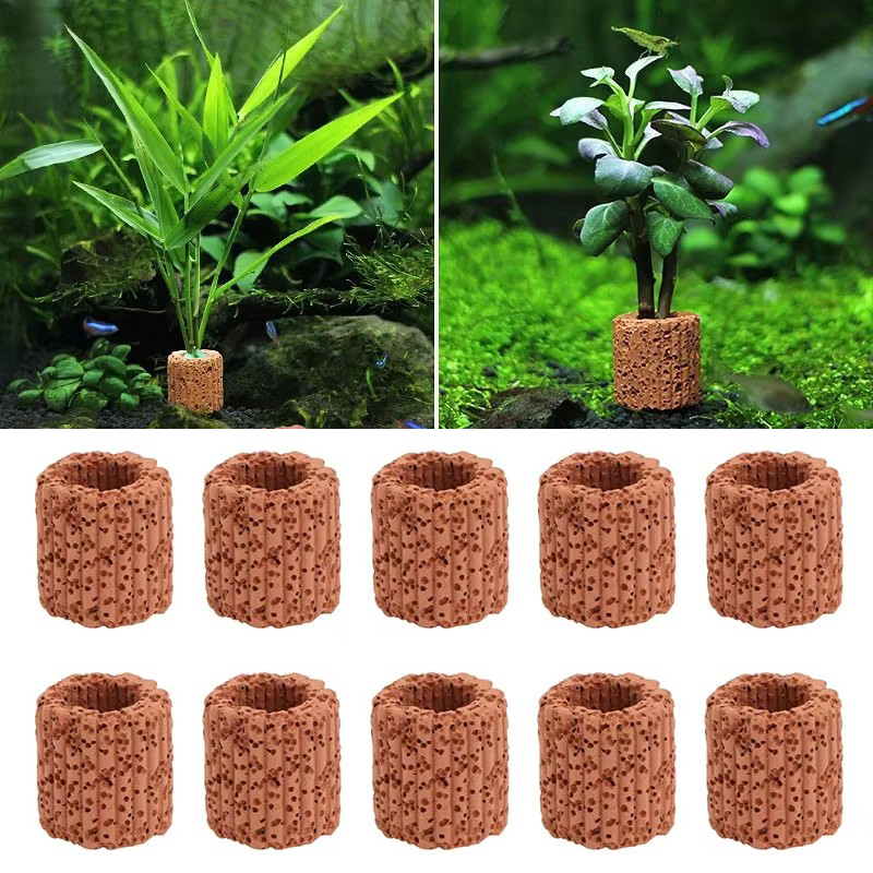 Aquatic Plant Fixed Ring for A - Plant Aquarium Pot recension och pris