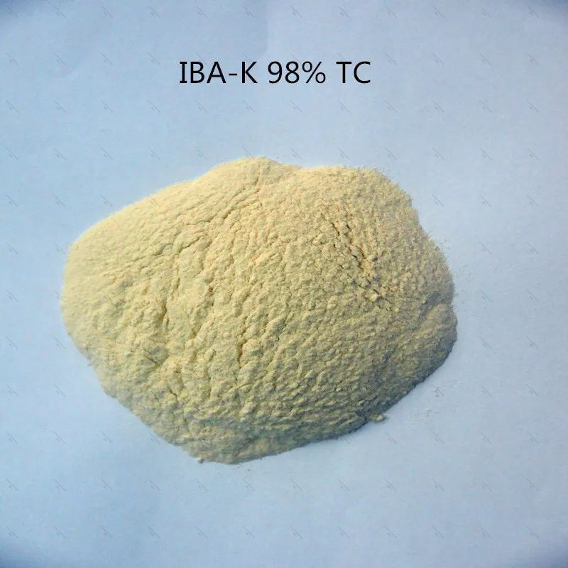 10Gram-1KG 98% IBA-K Water Sol - Aquarium Fertilizer recension och pris
