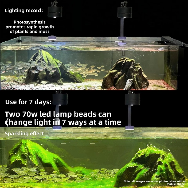 2026 Full Spectrum LED Aquariu - Aquarium Moss recension och pris