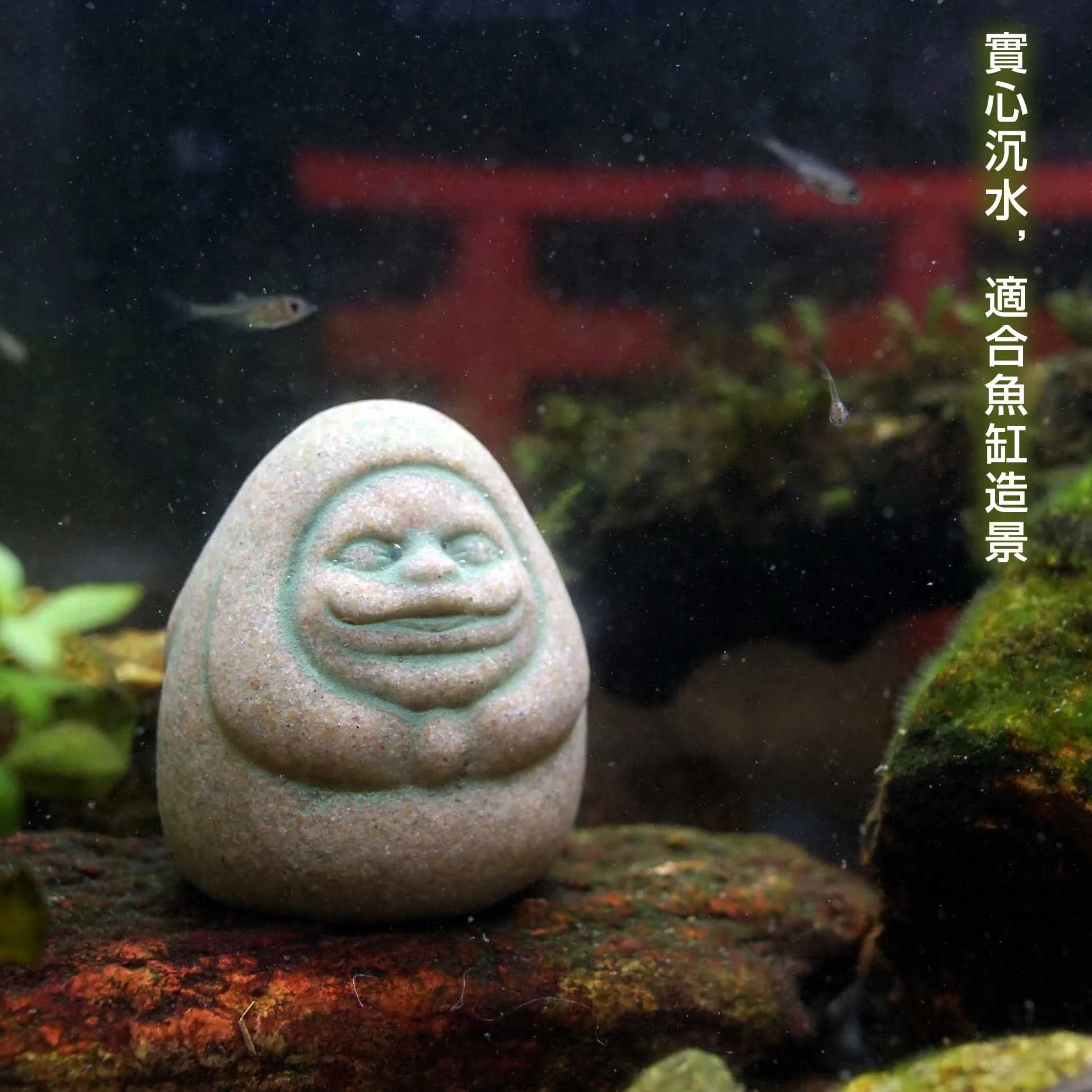 Kaminishi Hide Dharma Anime Sc - Aquarium Moss recension och pris