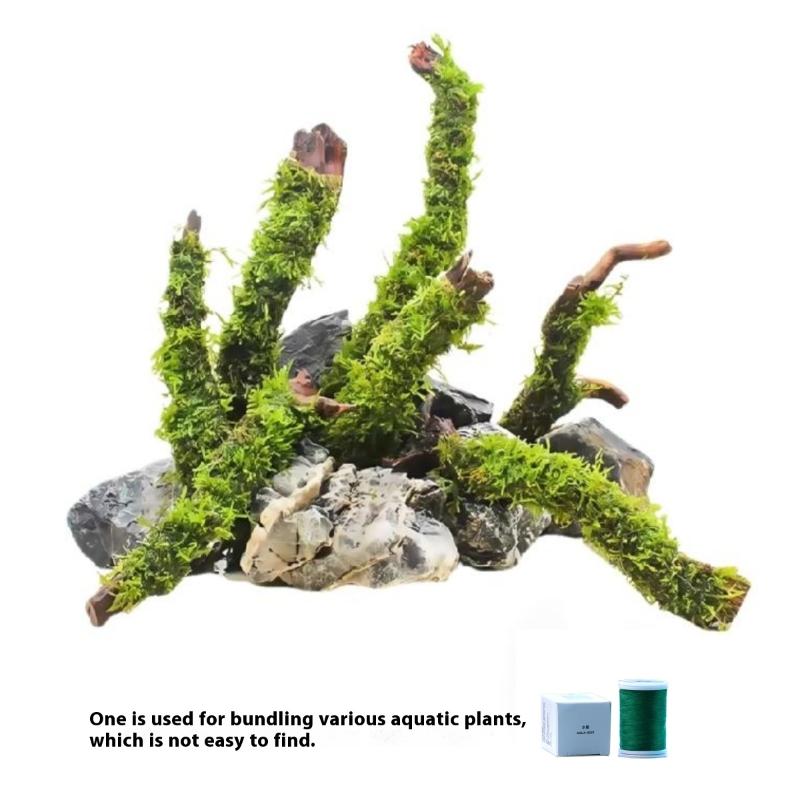 200M Naturally Degradable Moss - Aquarium Moss recension och pris