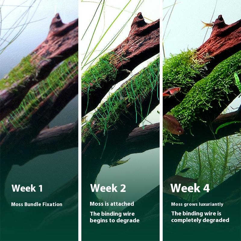 200M Naturally Degradable Moss - Aquarium Moss recension och pris