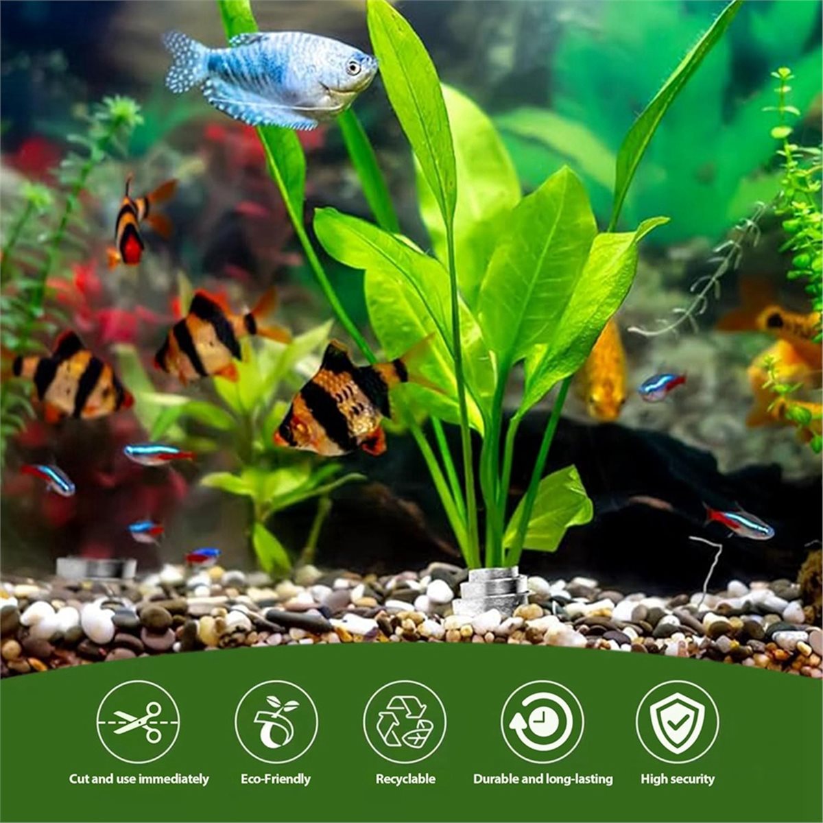 Time Saving Aquarium Plant Wei - Live Plant Aquarium recension och pris