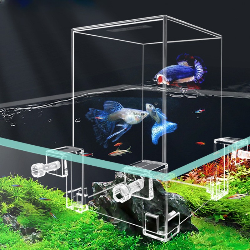 Creative Aquarium Tanks Negati - Plant Aquarium Pot recension och pris