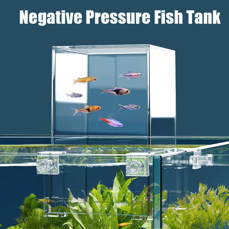 Creative Aquarium Tanks Negati - Plant Aquarium Pot recension och pris