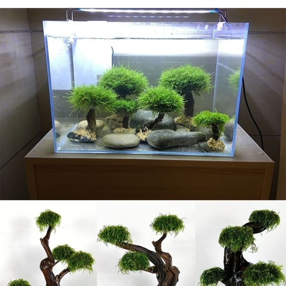 Fish tank greening wood frame  - Aquarium Driftwood recension och pris