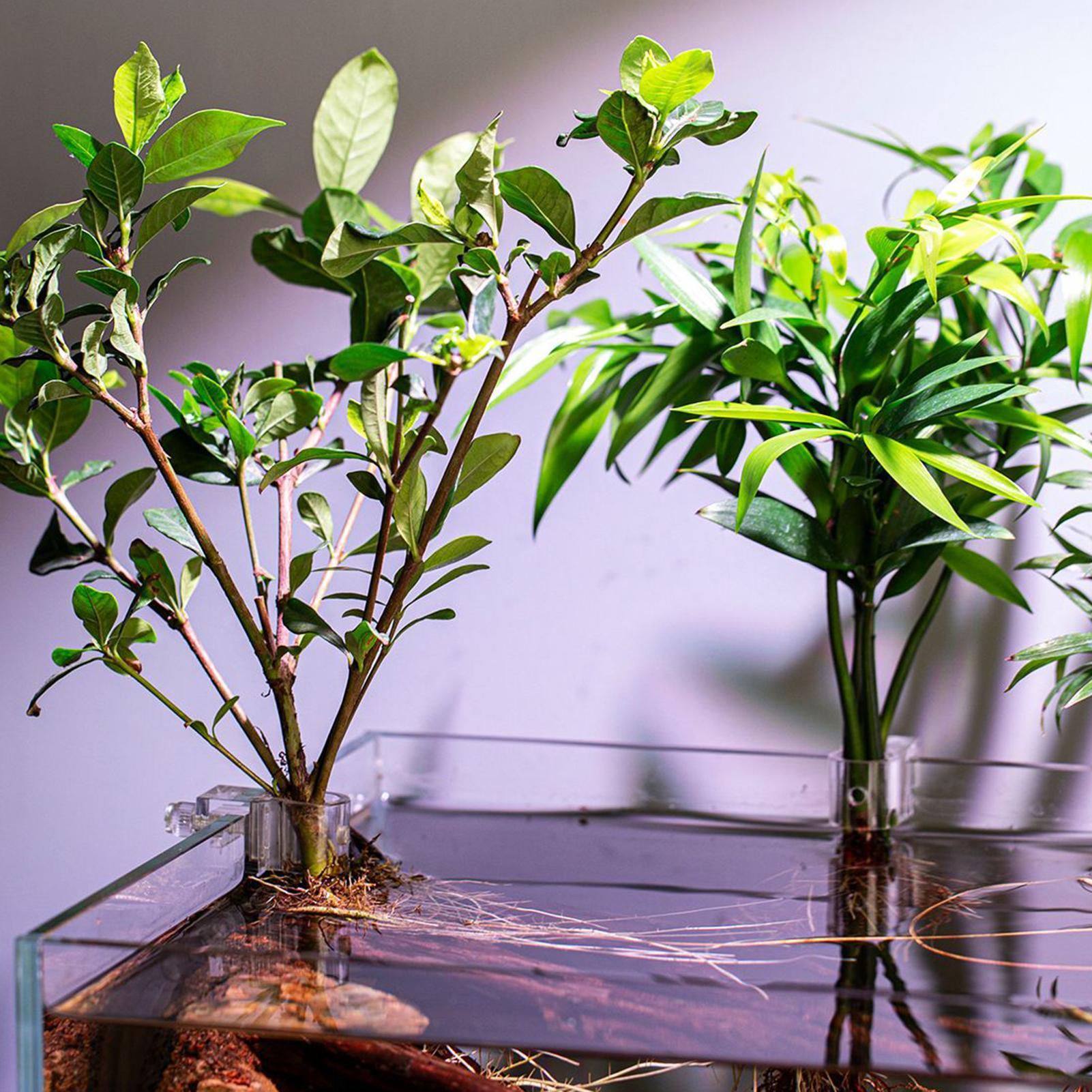 Mini Fish Tank Planter Pot 6Pc - Aquarium Fertilizer recension och pris