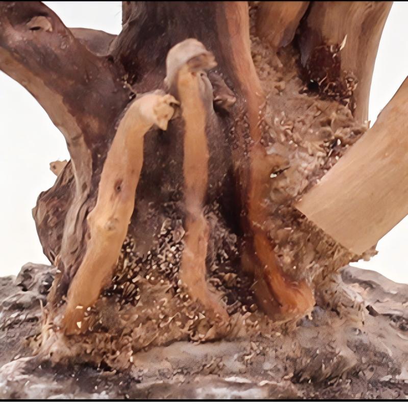 1PC Aquarium Landscaping Wood  - Aquarium Driftwood recension och pris
