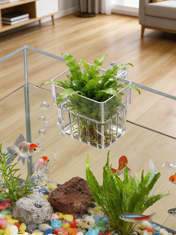 Aquarium Plant Holder Transpar - Plant Aquarium Pot recension och pris
