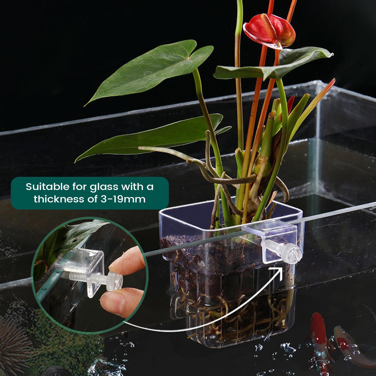 Aquarium Plant Holder Transpar - Plant Aquarium Pot recension och pris