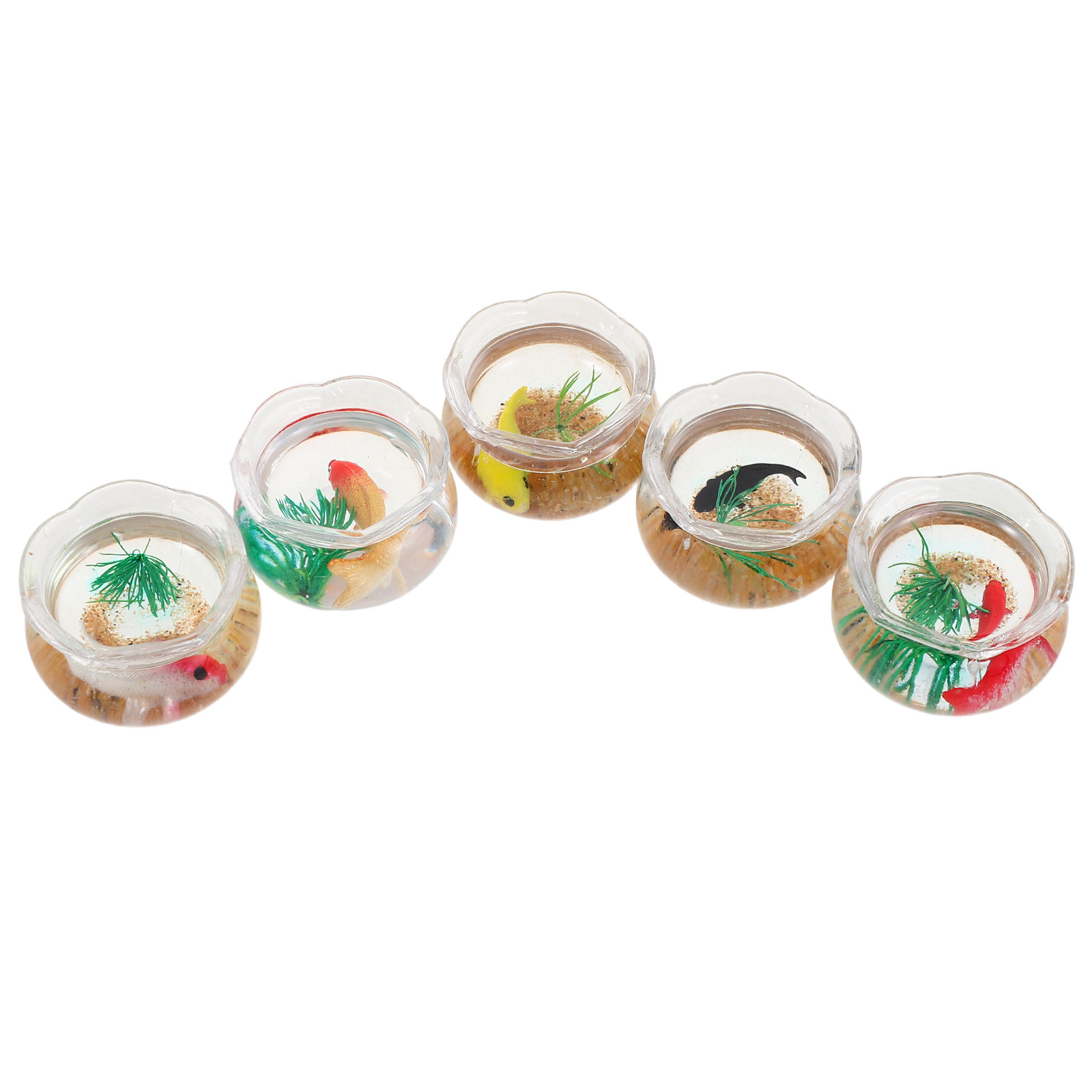 5pcs Mini Koi Fish Tank Set –  - Planted Tank recension och pris