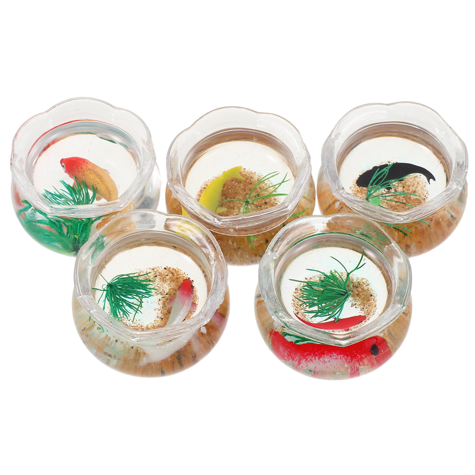 5pcs Mini Koi Fish Tank Set –  - Planted Tank recension och pris
