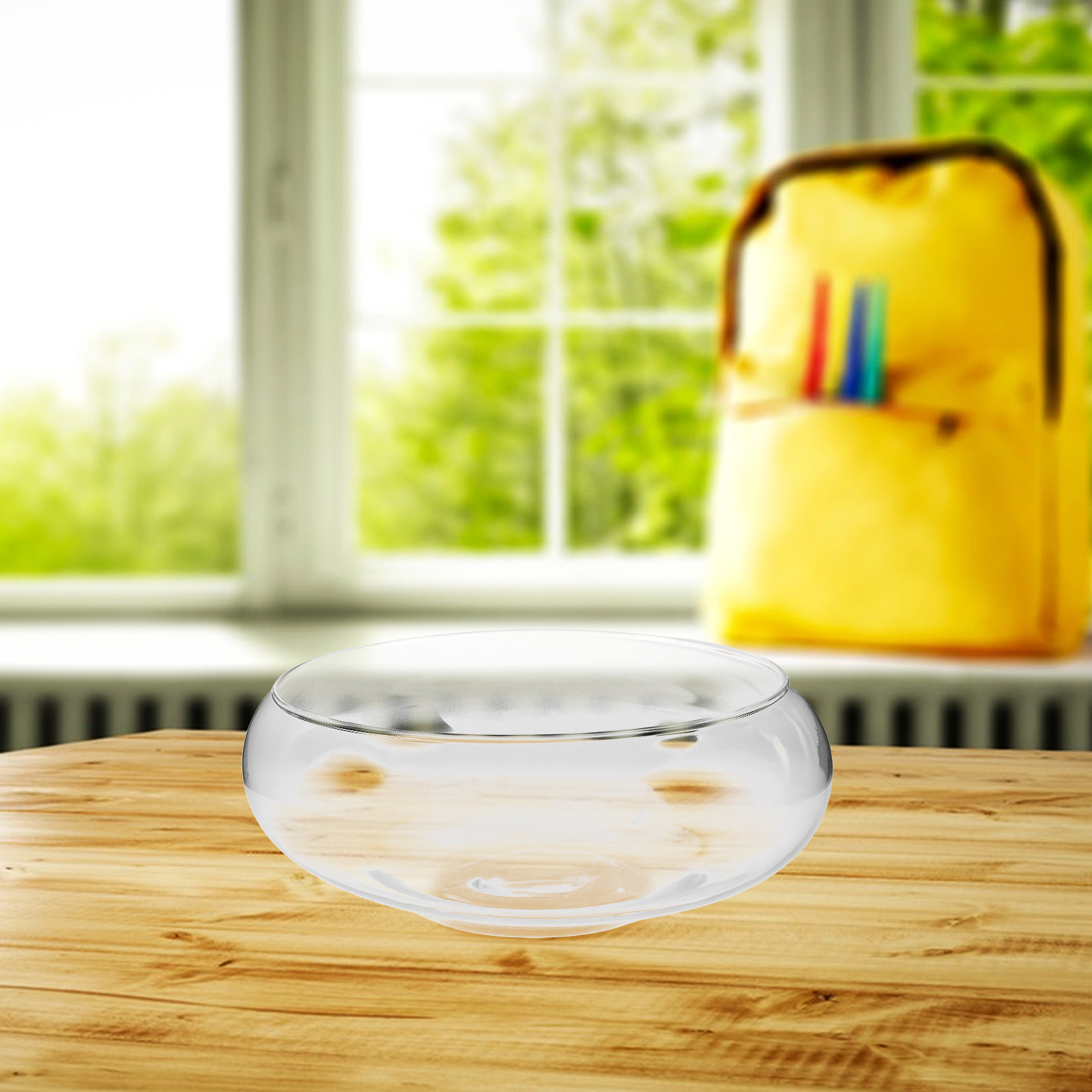 Glass Hydroponic Planter Bowl  - Planted Tank recension och pris