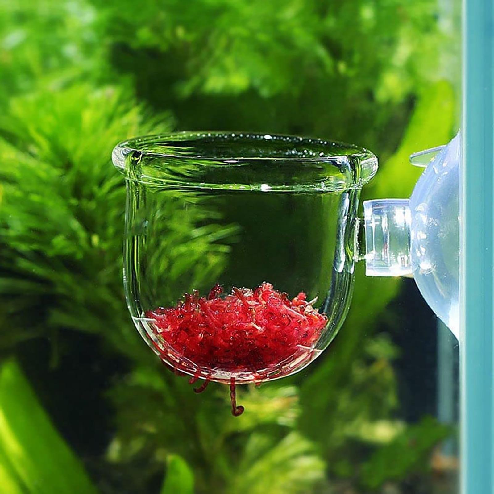Acrylic Aquatic Plant Cup Aqua - Plant Aquarium Pot recension och pris