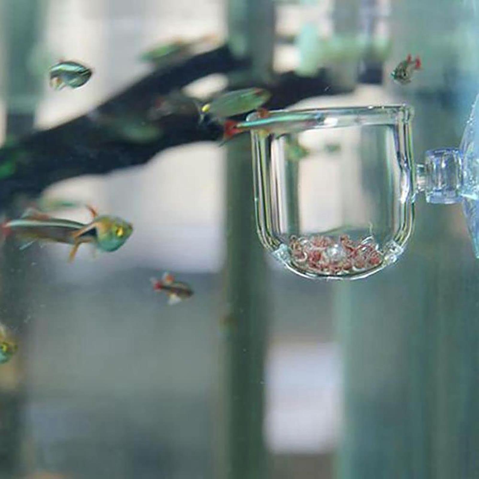 Acrylic Aquatic Plant Cup Aqua - Plant Aquarium Pot recension och pris