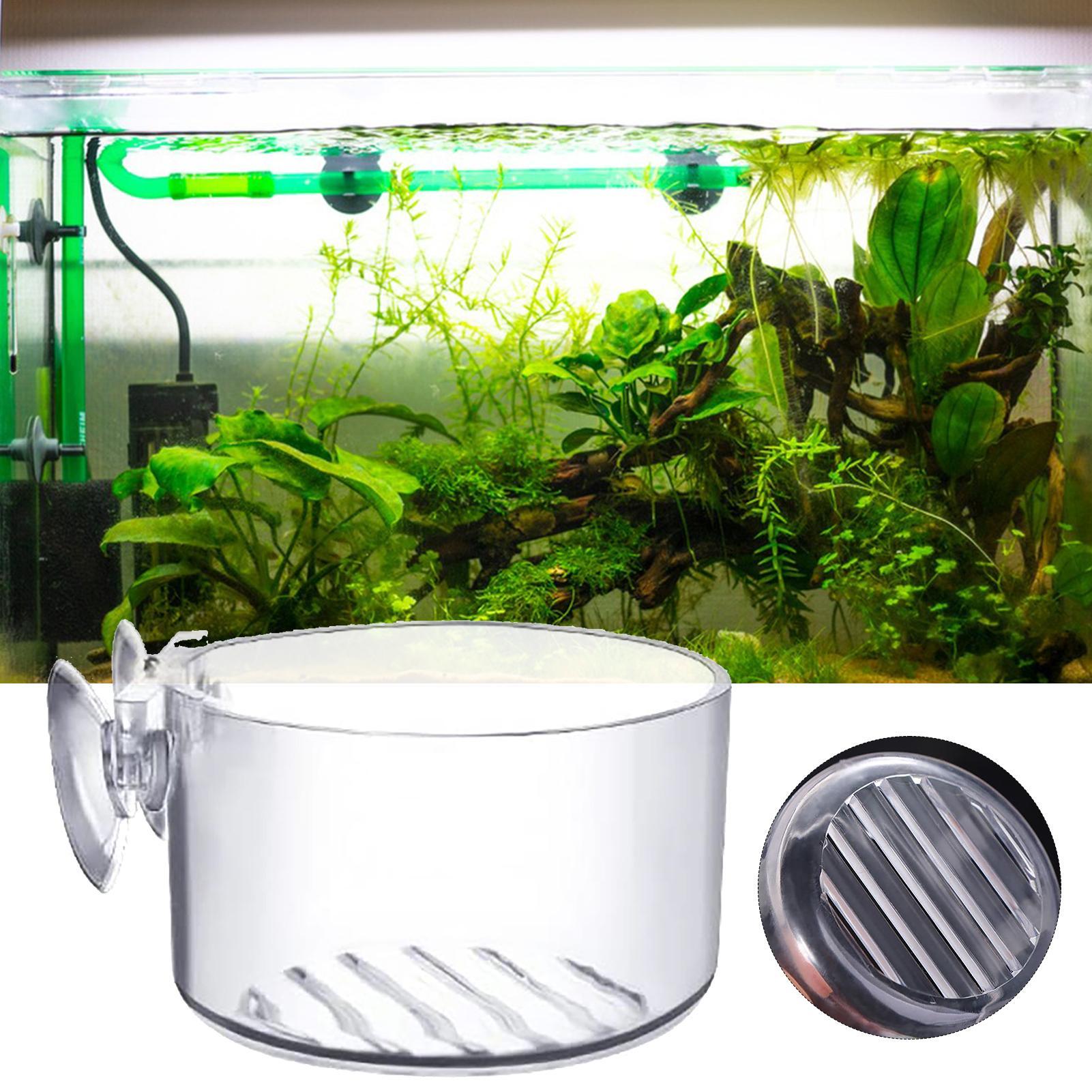 Acrylic Aquatic Plant Cup Aqua - Plant Aquarium Pot recension och pris