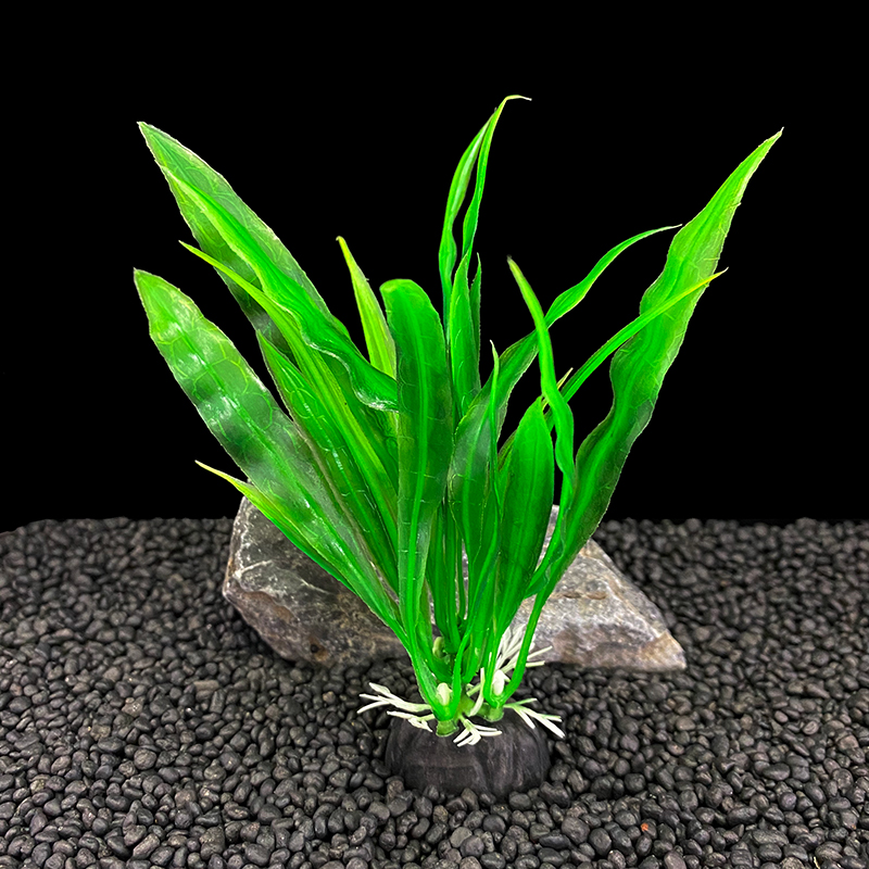 6pcs Packs Aquarium Plants, Fi - Aquarium Plants Live recension och pris